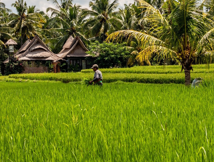 bali 4943049 1920 mxbx5lwknrsrn2.png